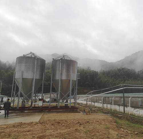 自动化喂料系统在养殖中能起到什么作用？